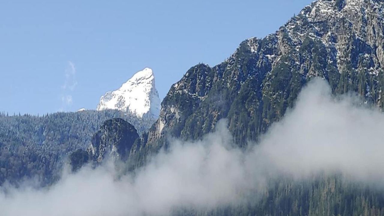 AreaWinter20KM AreaWinter20KM